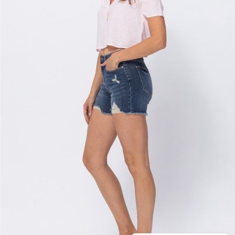 The Beach Riot Judy Blue shorts